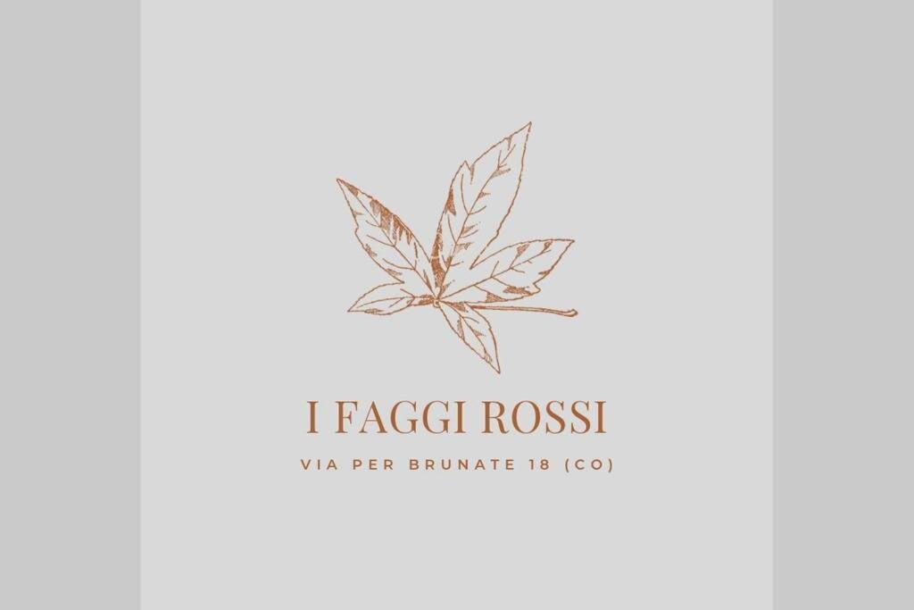 הוילה קומו I Faggi Rossi - Red Beech Trees מראה חיצוני תמונה